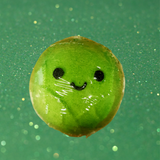 Christmas Minis Gift Set