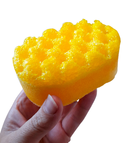 Soap Sponges