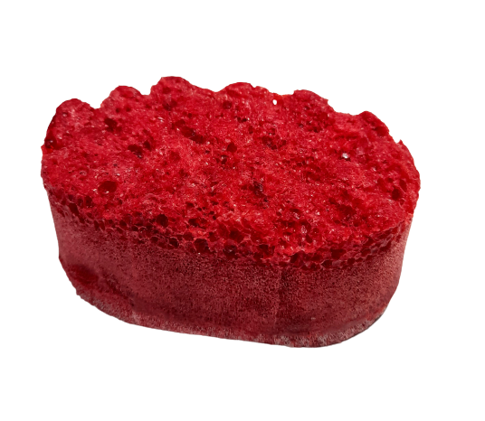 Soap Sponges