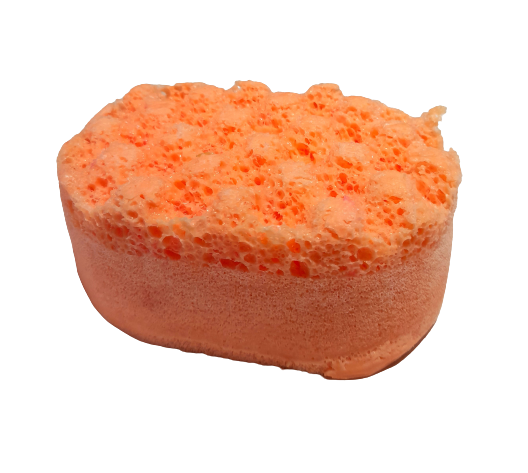 Soap Sponges