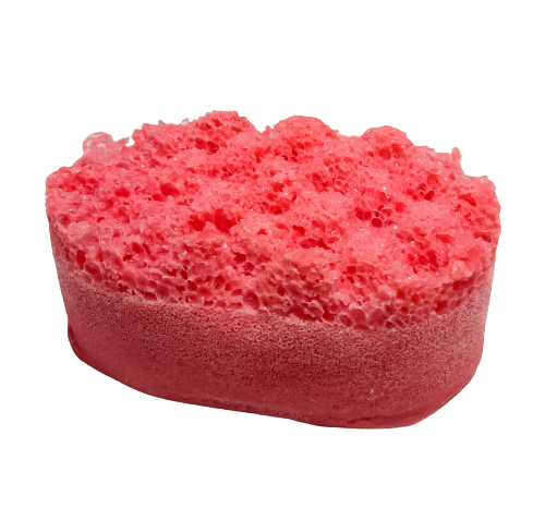 Soap Sponges
