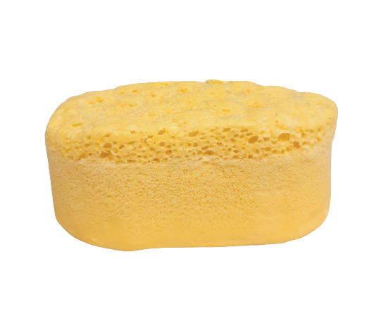 Soap Sponges