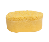 Soap Sponges